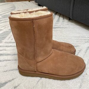 Ugg Classic Short - Chestnut Brown